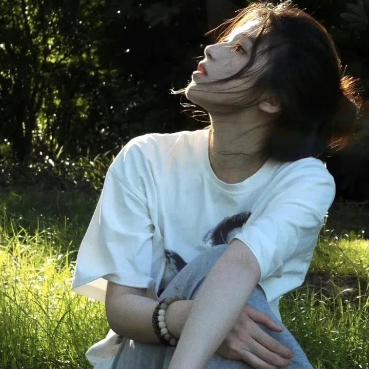 彩岛人生